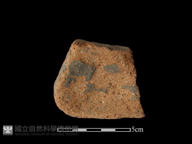 陶缽藏品圖，第2張