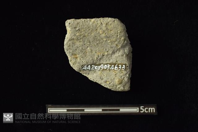 陶容器藏品圖，第2張