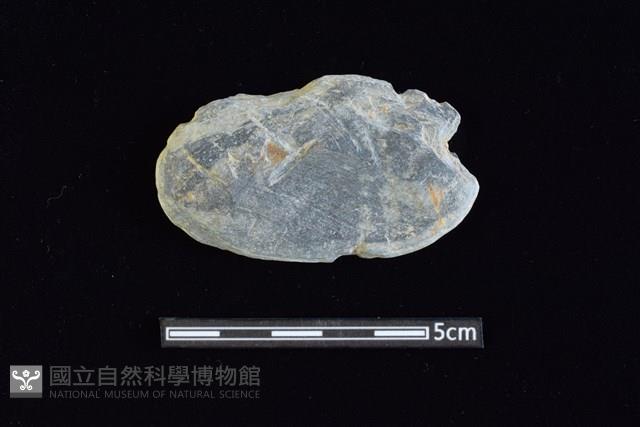 網墜藏品圖，第1張