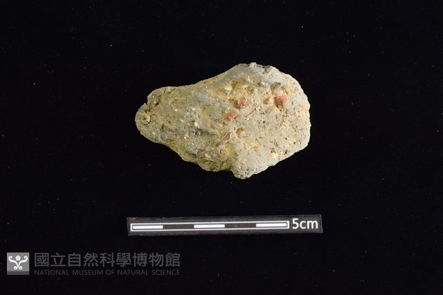 陶罐藏品圖，第1張