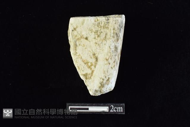 錛鑿形器藏品圖，第1張