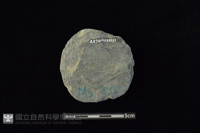 石圓片藏品圖，第2張