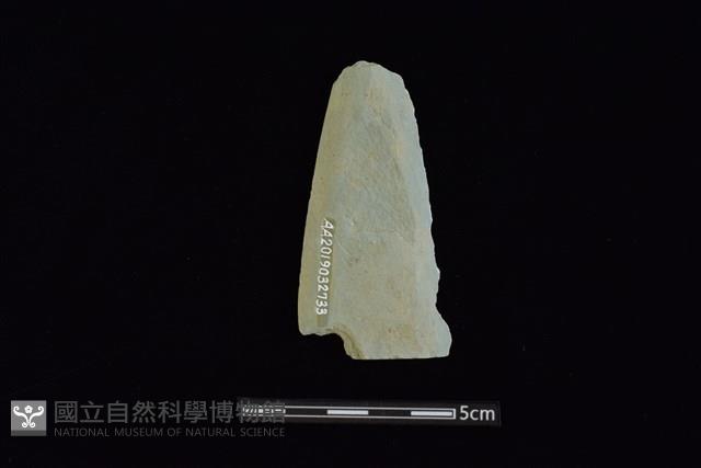 矛鏃形器藏品圖，第2張