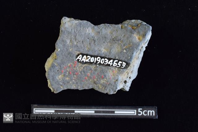 陶罐藏品圖，第2張