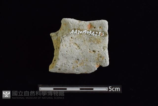 圈足藏品圖，第2張