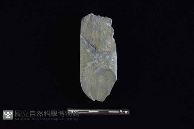 石鎚藏品圖，第1張