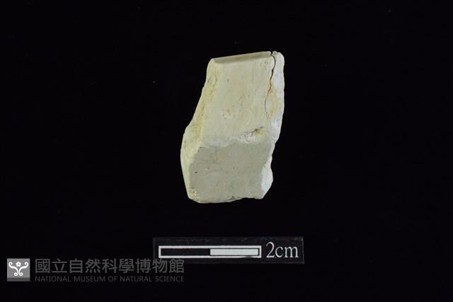 錛鑿形器藏品圖，第1張