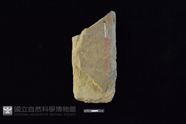 斧鋤形器藏品圖，第2張