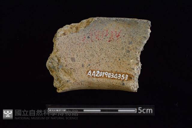 陶罐藏品圖，第2張