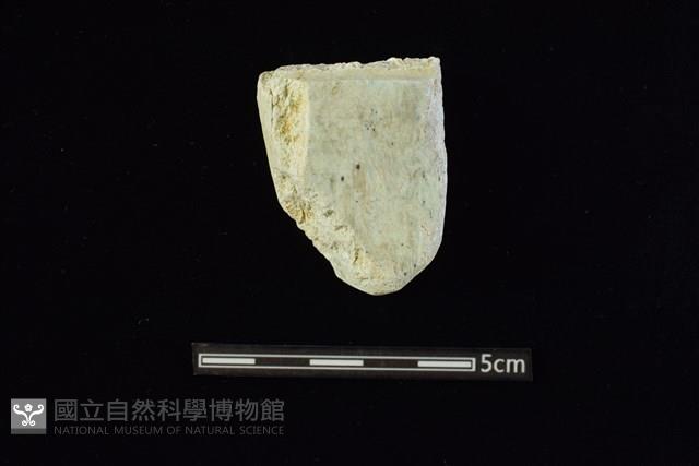 錛鑿形器藏品圖，第1張