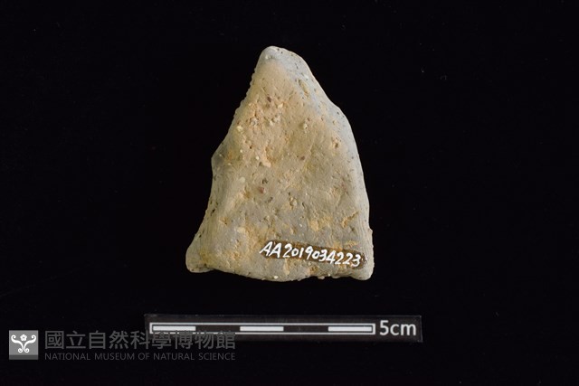 陶片藏品圖，第2張