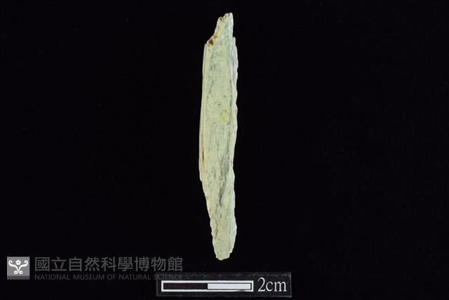錛鑿形器藏品圖，第1張