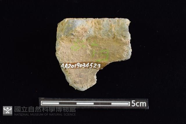 陶缽藏品圖，第2張