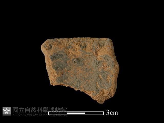 陶罐藏品圖，第2張