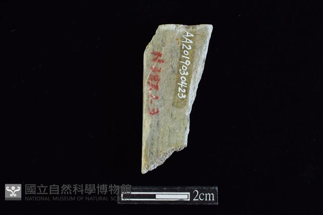 錛鑿形器藏品圖，第2張