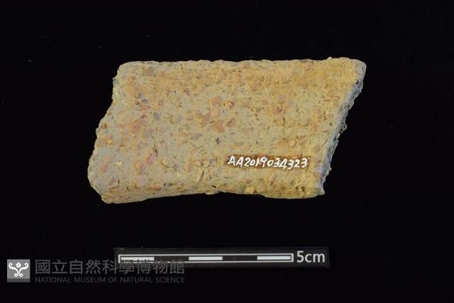 陶罐藏品圖，第2張