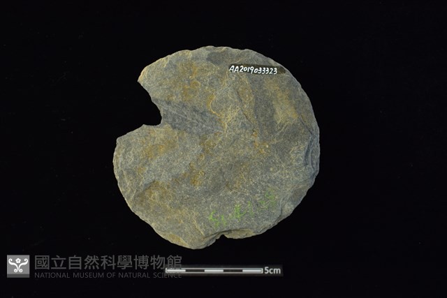 石圓片藏品圖，第2張