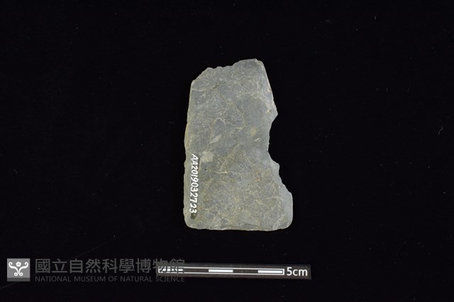 矛鏃形器藏品圖，第2張