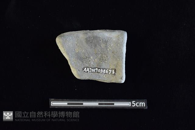 陶片藏品圖，第2張