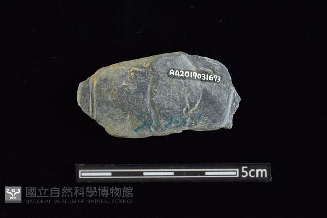 網墜藏品圖，第2張