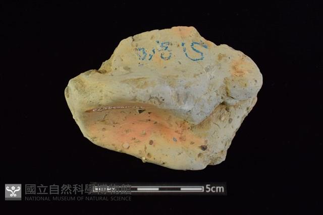 圈足藏品圖，第1張