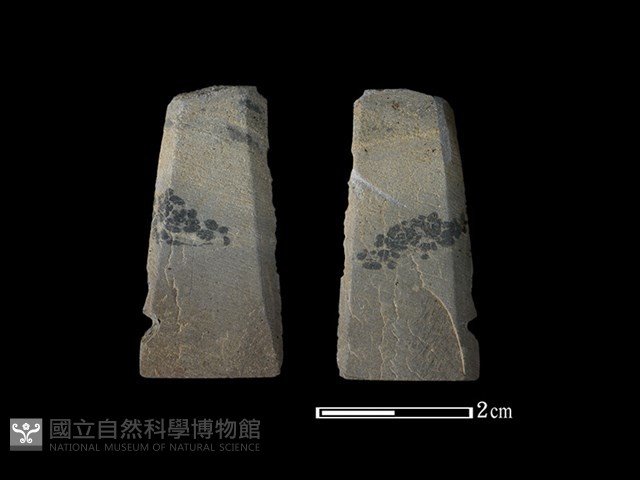 矛鏃形器藏品圖，第1張