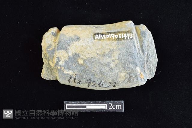 網墜藏品圖，第2張