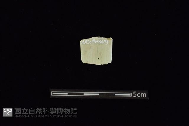 玉料藏品圖，第2張