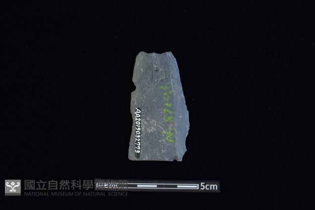 矛鏃形器藏品圖，第2張