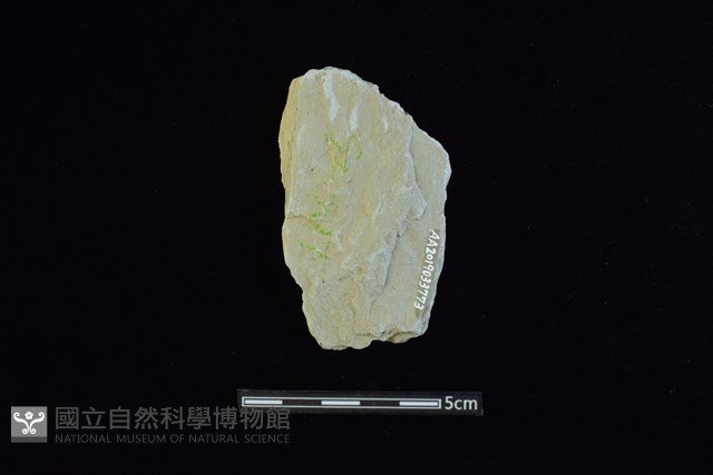 石器殘件藏品圖，第2張