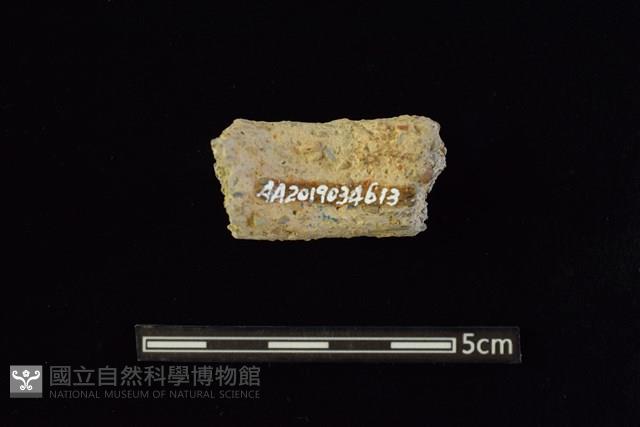 陶把及陶鈕藏品圖，第2張