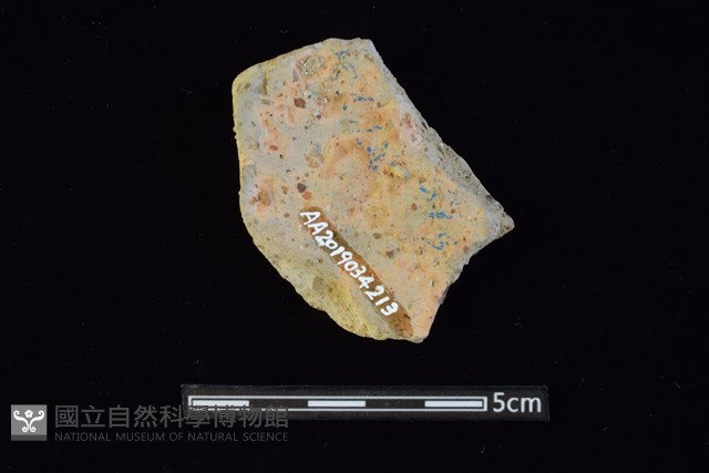 陶片藏品圖，第2張