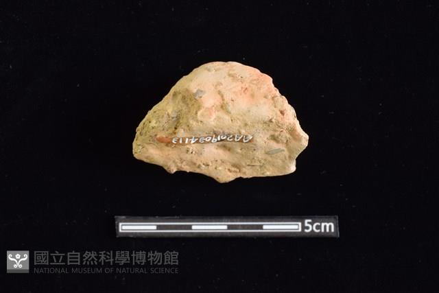 陶罐藏品圖，第2張