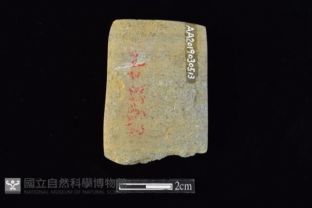 錛鑿形器藏品圖，第2張