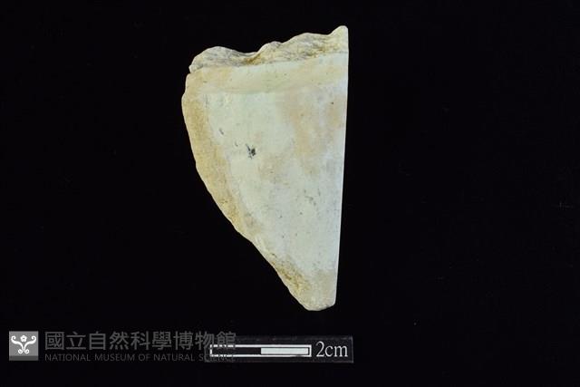 錛鑿形器藏品圖，第2張