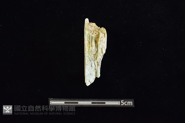 玉料藏品圖，第2張