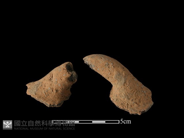 陶把藏品圖，第1張