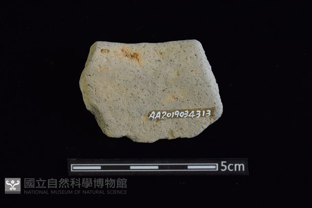 陶罐藏品圖，第2張
