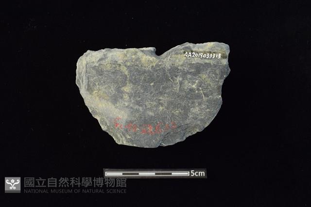 穿孔石板藏品圖，第2張