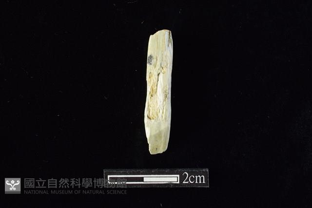 錛鑿形器藏品圖，第1張