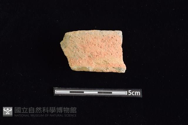 陶罐藏品圖，第1張