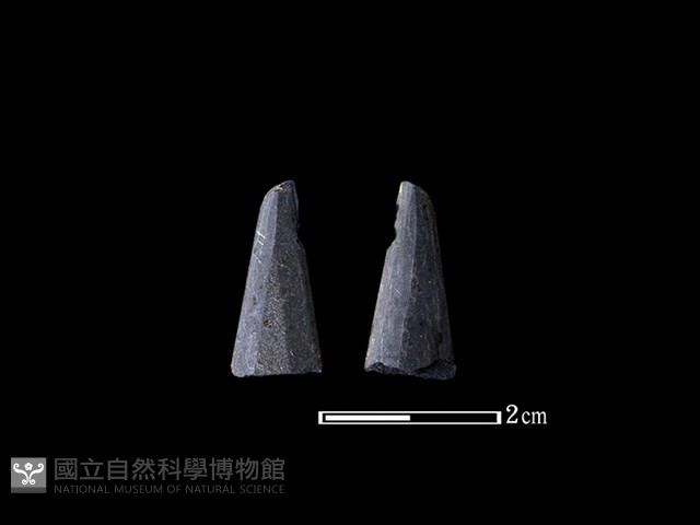 矛鏃形器藏品圖，第1張