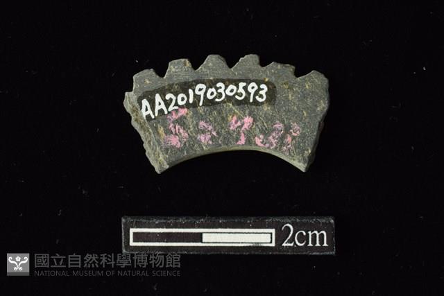 石環藏品圖，第2張