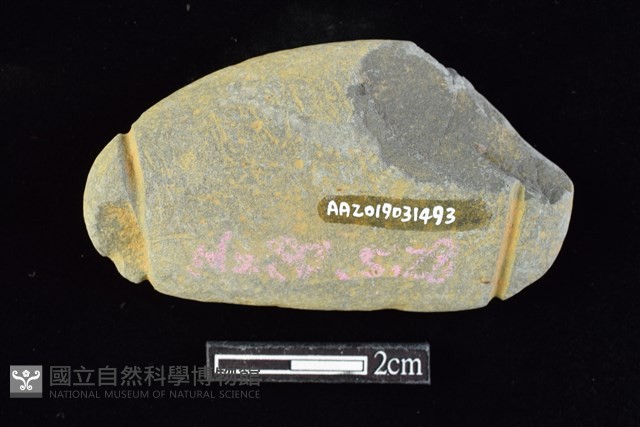 網墜藏品圖，第2張