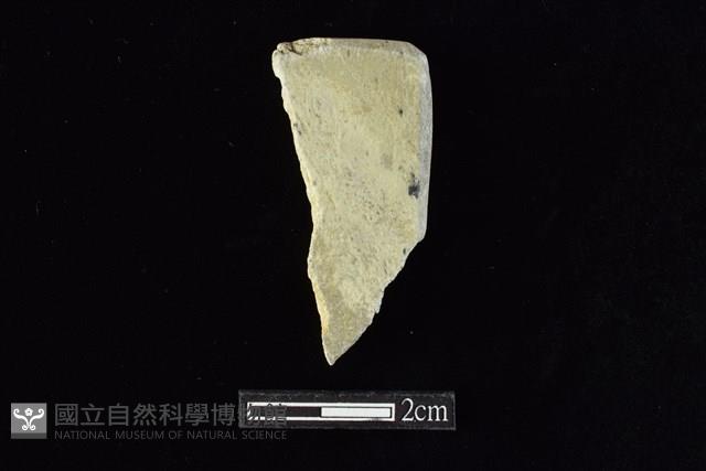 錛鑿形器藏品圖，第1張