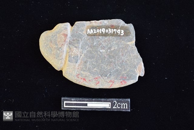 網墜藏品圖，第2張