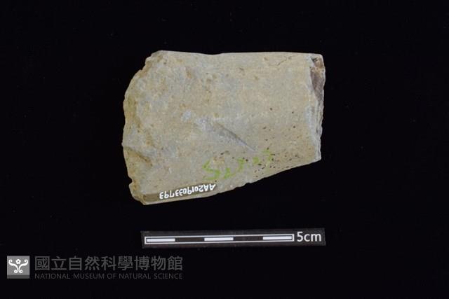 石鐮藏品圖，第2張