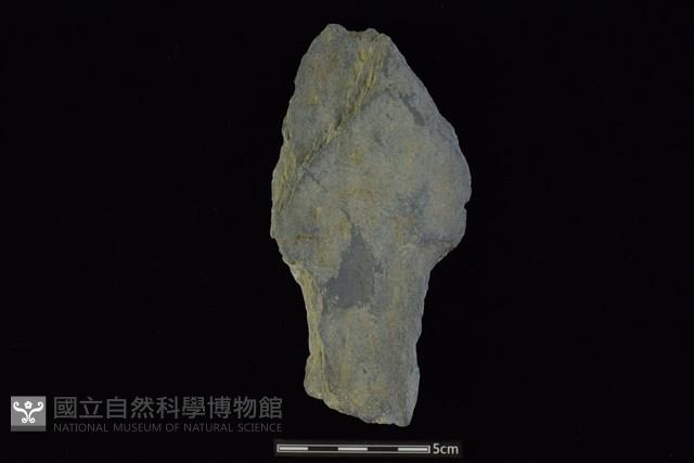 戈形器藏品圖，第2張