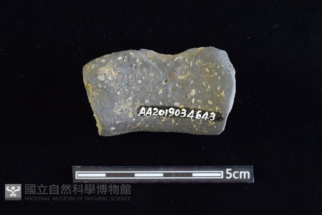 陶罐藏品圖，第2張