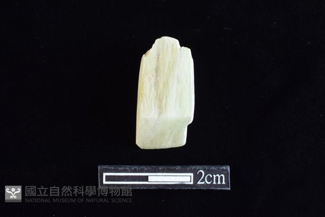 錛鑿形器藏品圖，第1張